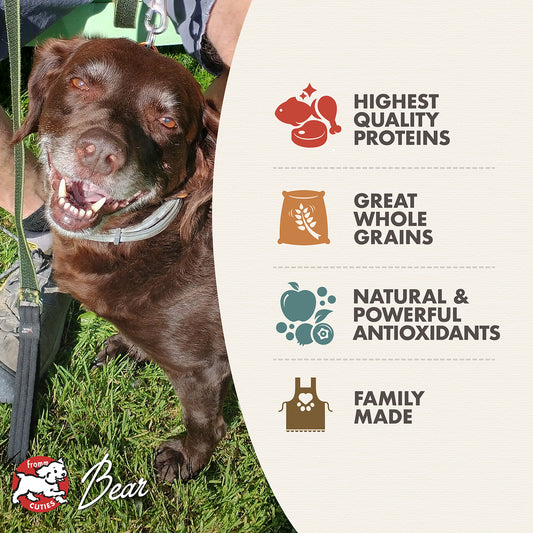 Fromm Classic Adult Dry Dog Food - 13.6kg - The Pet Source