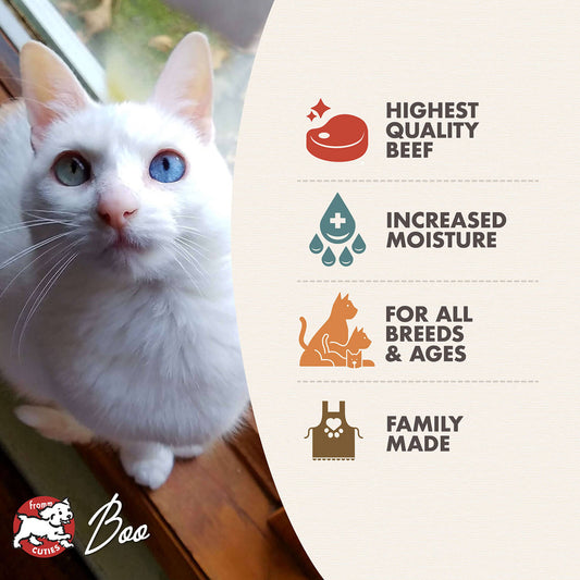 Fromm Four Star Beef & Venison Pâté Wet Cat Food - 155g - The Pet Source