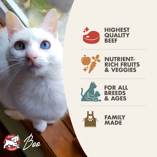 Fromm Beef Liváttini Veg Recipe Dry Cat Food - 4.54kg - The Pet Source