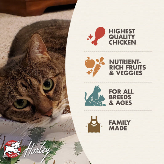 Fromm Chicken À La Veg Recipe Dry Cat Food - 4.54kg - The Pet Source