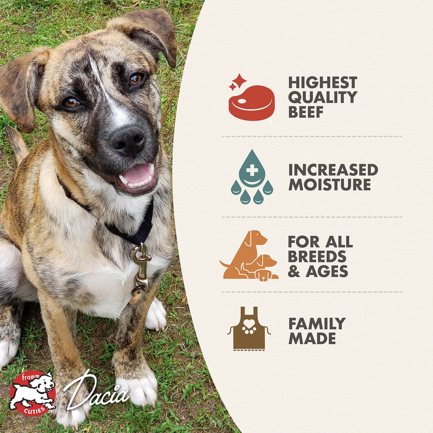 Fromm Beef & Sweet Potato Pâté Wet Dog Food - 12.2oz - The Pet Source