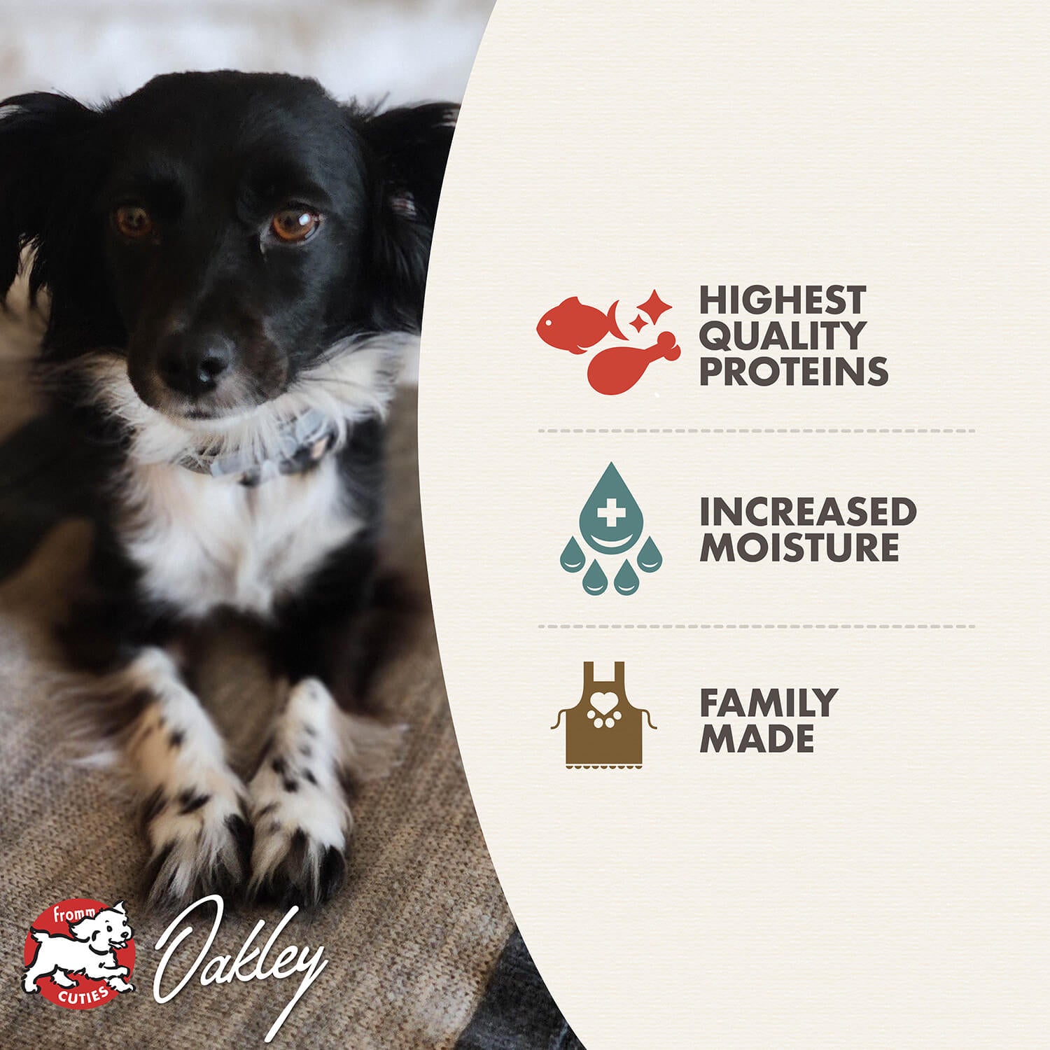 Fromm Salmon & Chicken Pâté Wet Dog Food - 12.2oz - The Pet Source