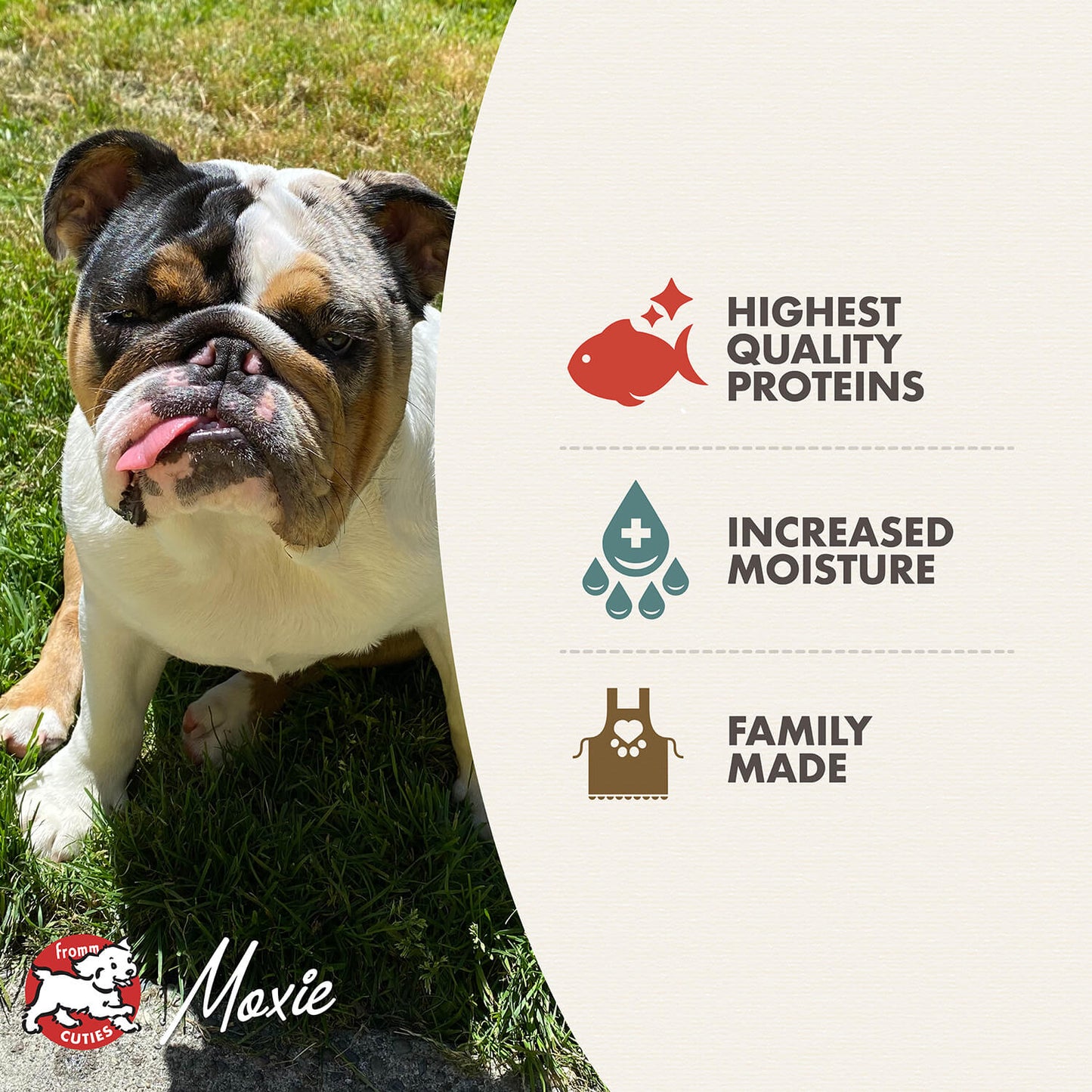 Fromm Seafood Medley Pâté Wet Dog Food - 12.2oz - The Pet Source