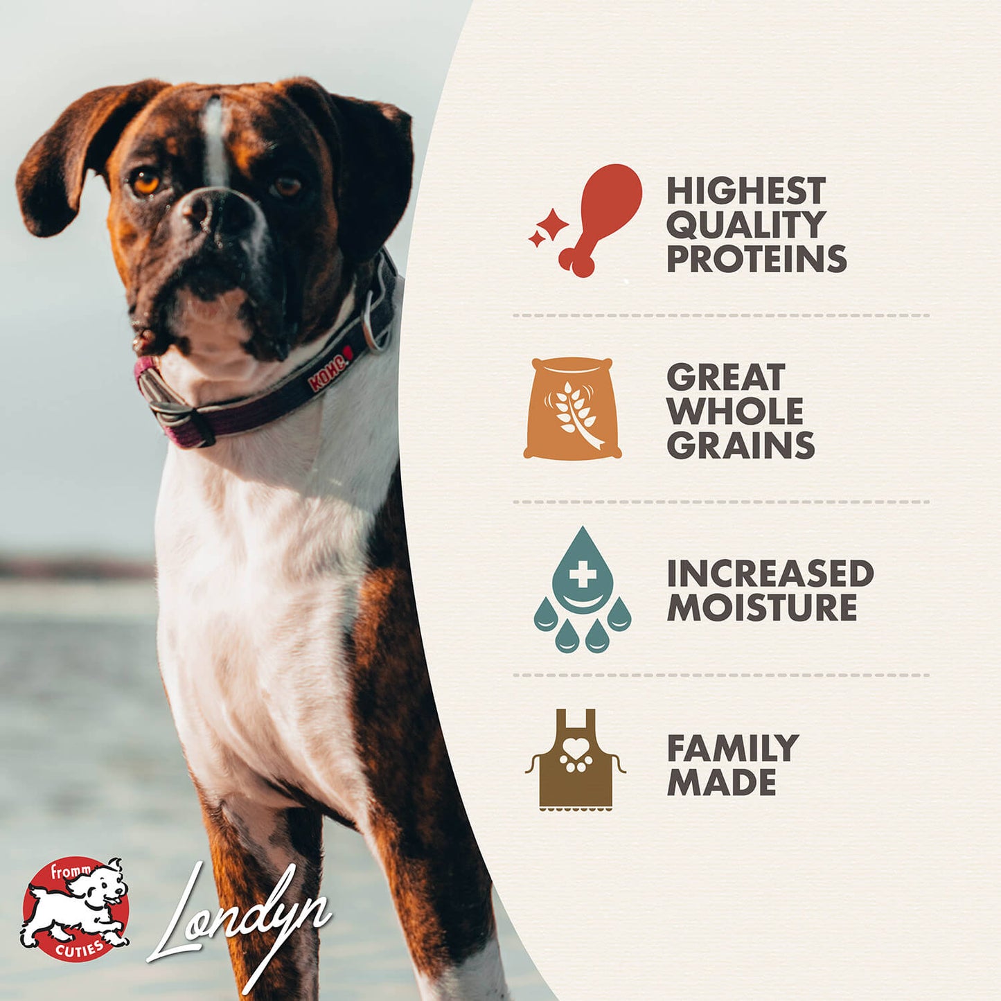 Fromm Turkey, Duck, & Sweet Potato Pâté Wet Dog Food - 12.2oz - The Pet Source