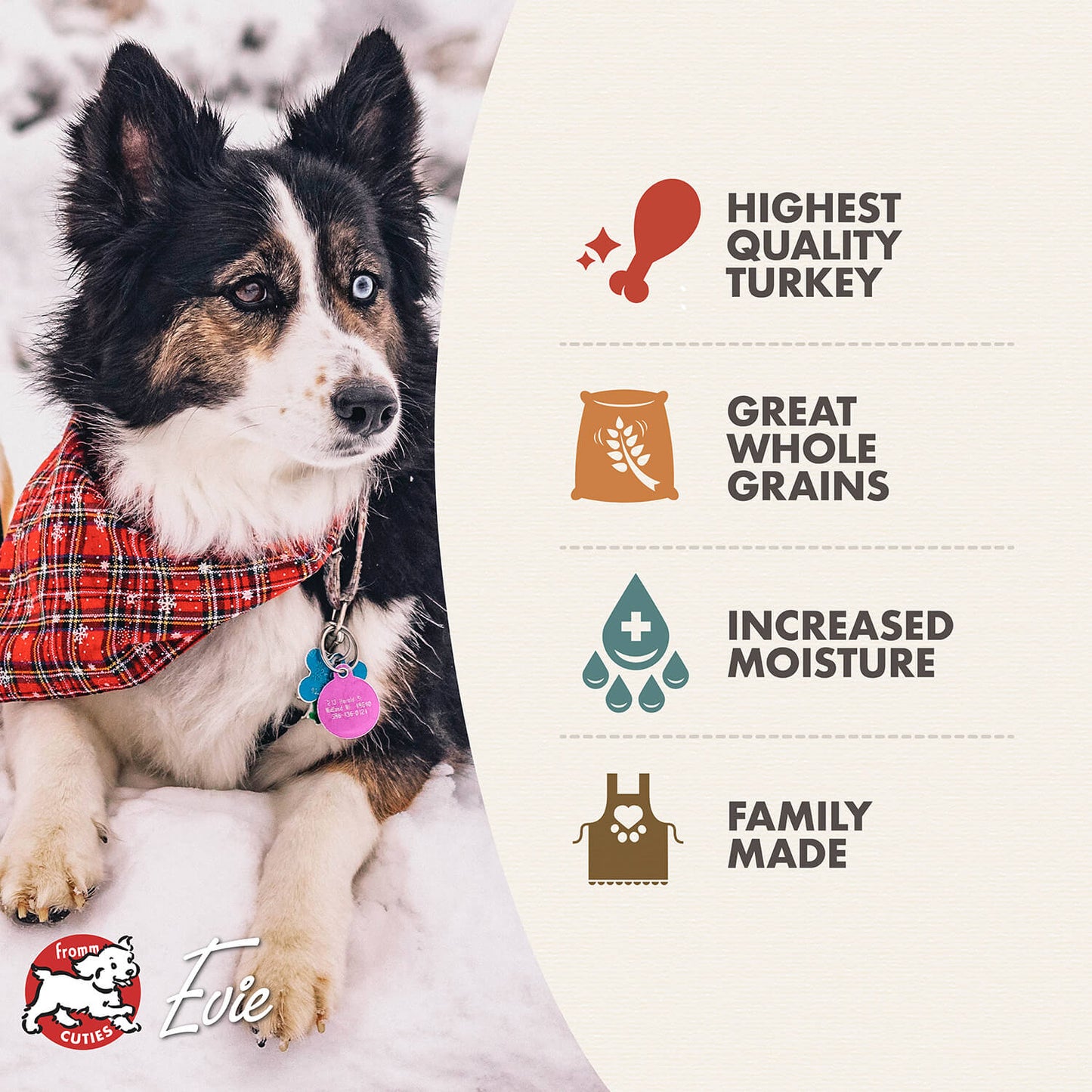 Fromm Turkey Pâté Wet Dog Food - 12.2oz - The Pet Source