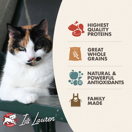 Fromm Adult Gold Dry Cat Food - 4.5kg - The Pet Source