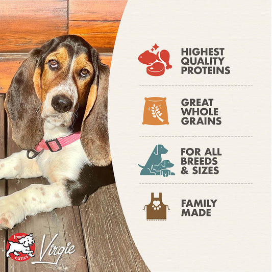 Fromm Adult Gold Dry Dog Food - 13.6kg - The Pet Source