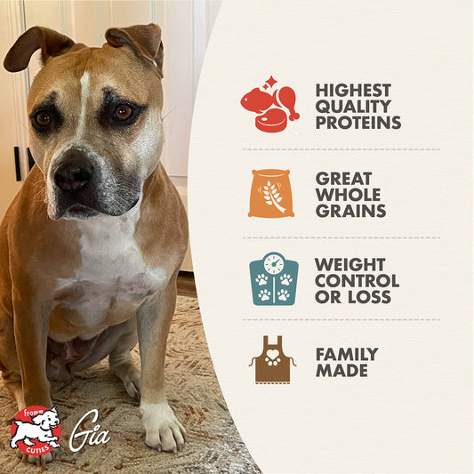 Fromm Weight Management Gold Dry Dog Food - 13.6kg - The Pet Source