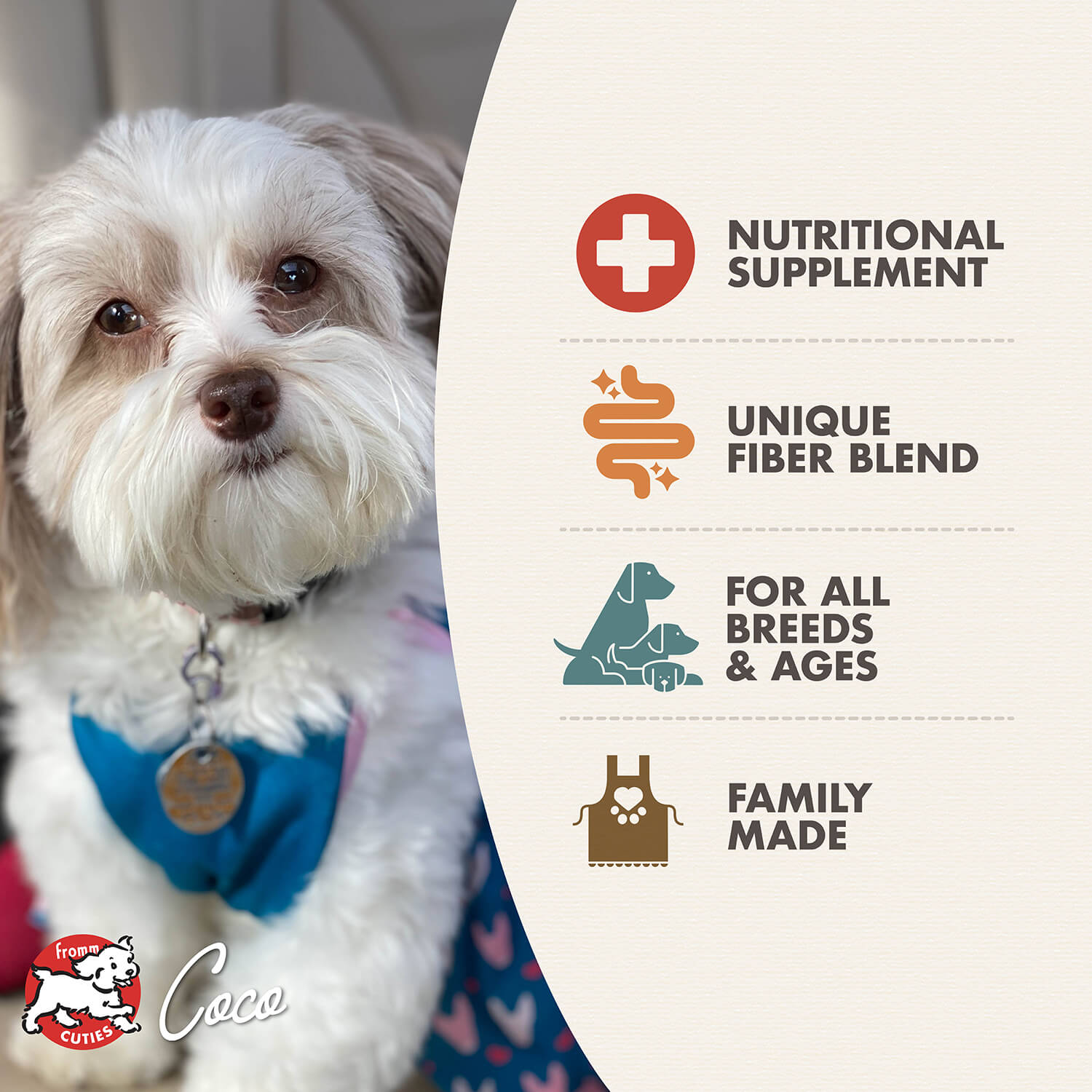 Fromm Nutritionals Chicken Formula Wet Dog Food - 12.2oz - The Pet Source