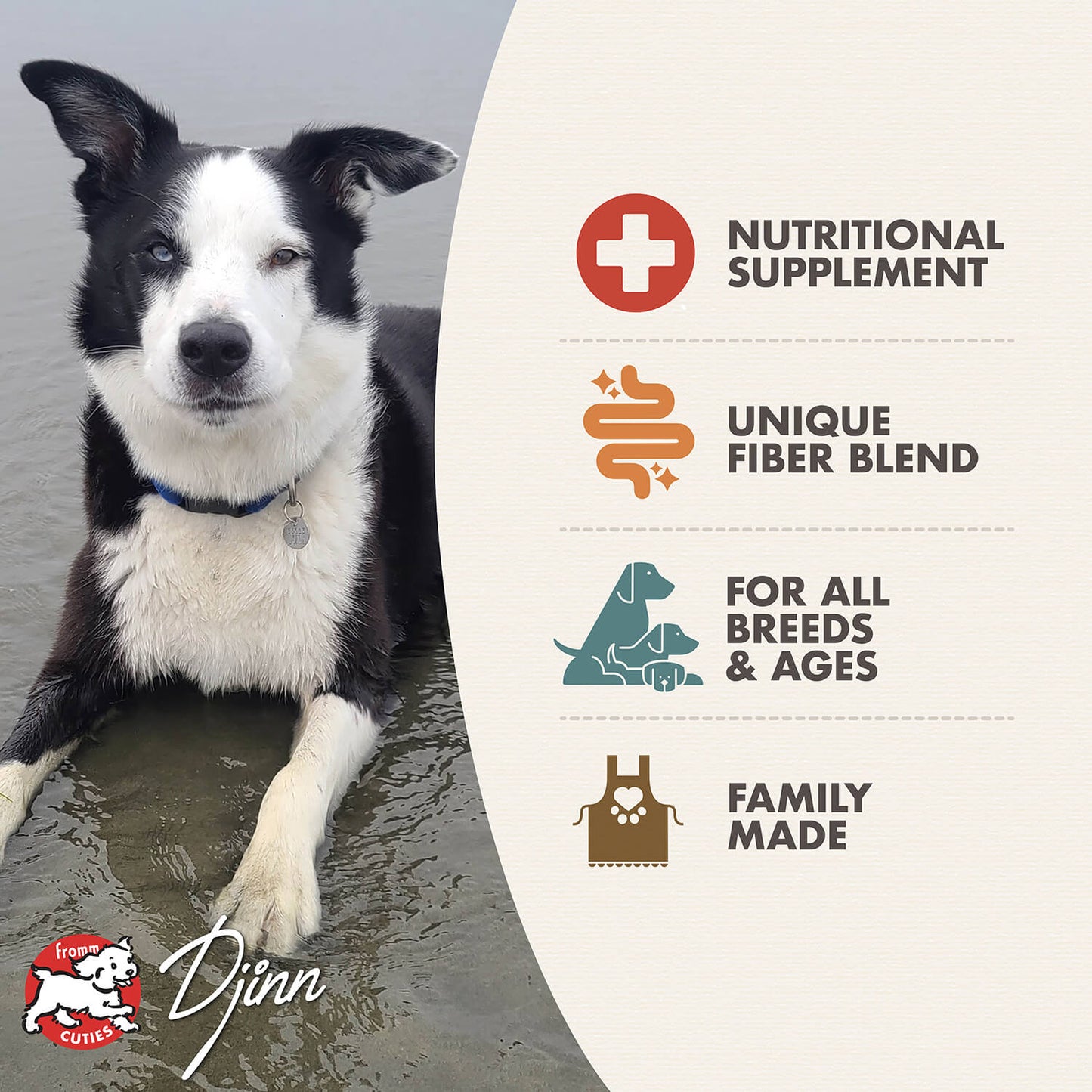 Fromm Nutritionals Whitefish Formula Wet Dog Food - 12.2oz - The Pet Source