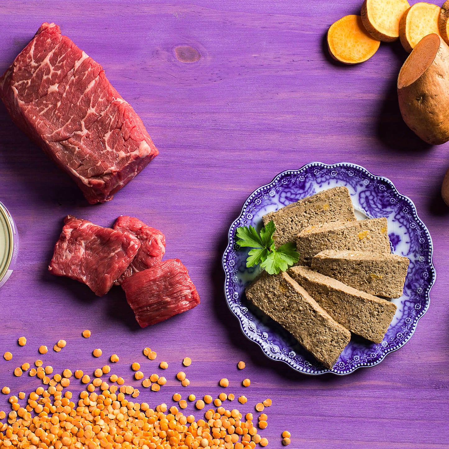 Fromm Four Star Beef & Venison Pâté Wet Cat Food - 155g - The Pet Source