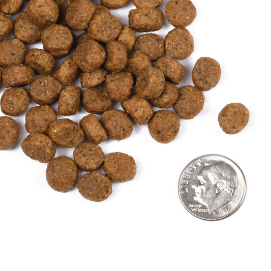Fromm Classic Puppy Dry Dog Food - 13.6kg - The Pet Source