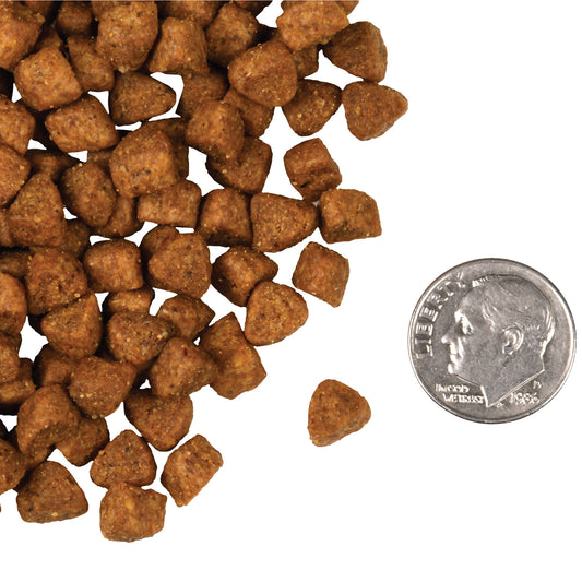 Fromm Hasen Duckenpfeffer Recipe Dry Cat Food - 4.54kg - The Pet Source