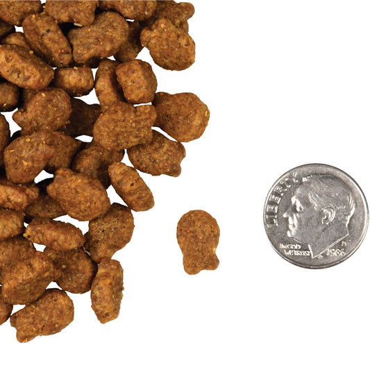 Fromm Salmon Tunachovy Recipe Dry Cat Food - 4.54kg - The Pet Source