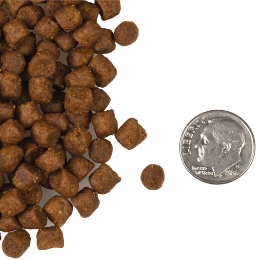 Fromm Surf & Turf Recipe Dry Cat Food - 4.54kg - The Pet Source