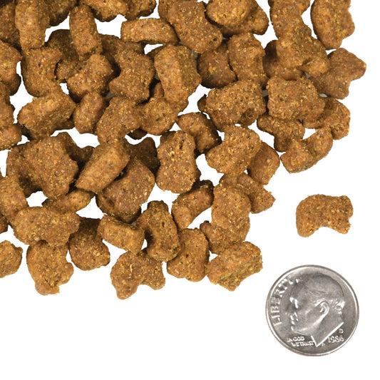 Fromm Four Star Nutritionals Lamb & Lentil Recipe Dry Dog Food - 11.8kg - The Pet Source