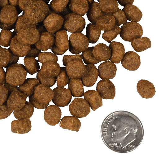 Fromm Four Star Nutritionals Salmon À La Veg Recipe Dry Dog Food - 11.8kg - The Pet Source