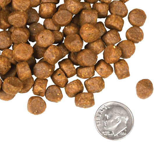 Fromm Four Star Nutritionals Surf & Turf Recipe Dry Dog Food - 11.8kg - The Pet Source