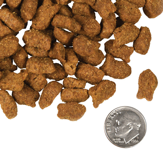 Fromm Four Star Nutritionals Trout & Whitefish Recipe Dry Dog Food - 11.8kg - The Pet Source
