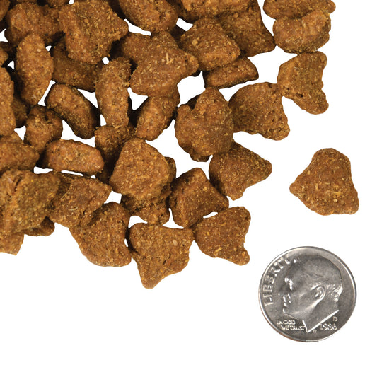 Fromm Four Star Nutritionals Zealambder Recipe Dry Dog Food - 11.8kg - The Pet Source