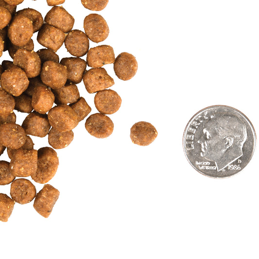 Fromm Adult Gold Dry Cat Food - 4.5kg - The Pet Source