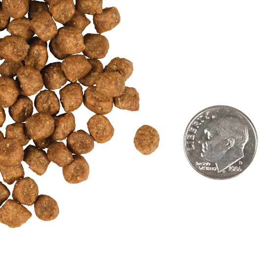 Fromm Indoor Cat Gold Dry Cat Food - 4.5kg - The Pet Source