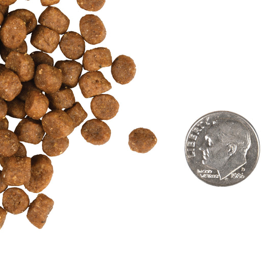 Fromm Kitten Gold Dry Cat Food - 4.5kg - The Pet Source