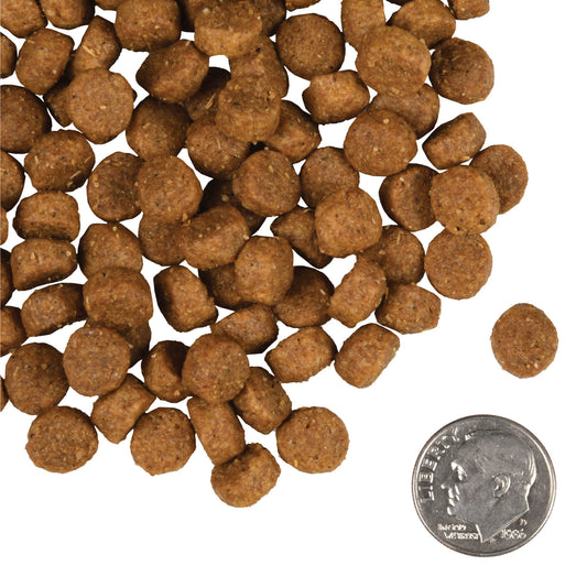 Fromm Small Breed Adult Gold Dry Dog Food - 6.8kg - The Pet Source