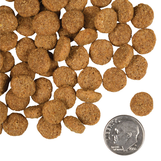 Fromm Weight Management Gold Dry Dog Food - 13.6kg - The Pet Source
