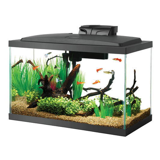 Aqueon LED 10 Aquarium Kit - The Pet Source