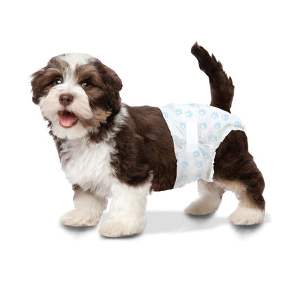 Four Paws Wee-Wee Disposable Dog Diapers X-Small - 12 pack - The Pet Source