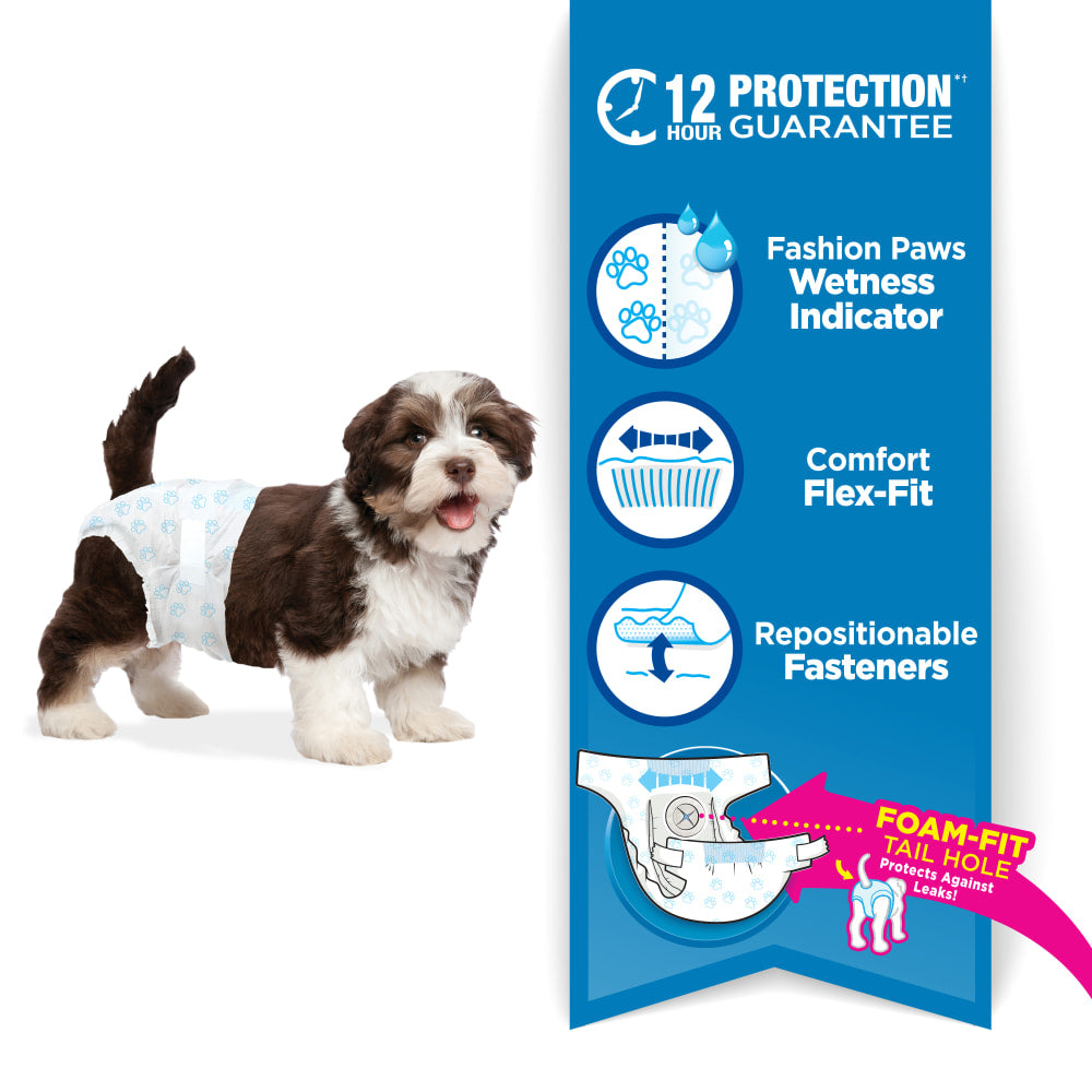 Four Paws Wee-Wee Disposable Dog Diapers Small - 12 pack - The Pet Source