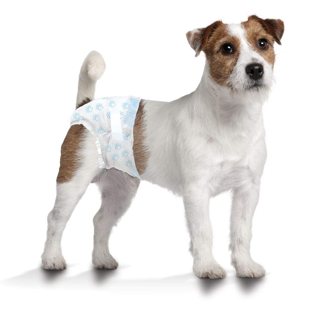 Four Paws Wee-Wee Disposable Dog Diapers Small - 12 pack - The Pet Source