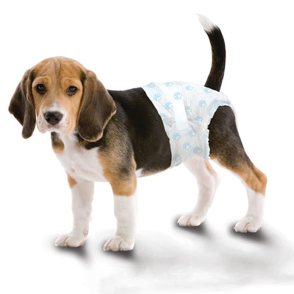 Four Paws Wee-Wee Disposable Dog Diapers Medium - 12 pack - The Pet Source