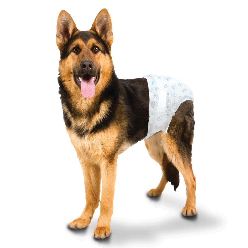Four Paws Wee-Wee Disposable Dog Diapers Large / X-Large - 12 pack - The Pet Source