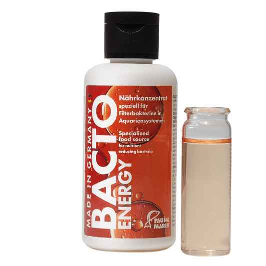 Fauna Marin Bacto Energy 250ml - The Pet Source