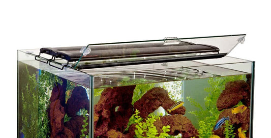 Marineland Glass Canopy with Clips 24 x 24 - The Pet Source