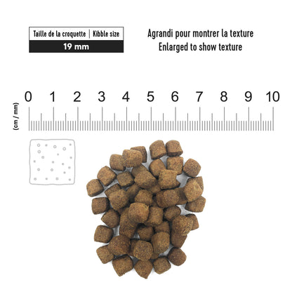 1st Choice Nutrition Dental Health Chicken Dry Adult Dog Food - 2kg - The Pet Source