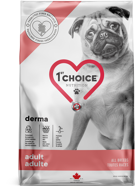 1st Choice Nutrition Derma Salmon Dry Adult Dog Food - 2kg - The Pet Source