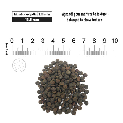 1st Choice Nutrition Derma Salmon Dry Adult Dog Food - 2kg - The Pet Source