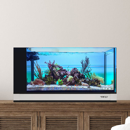 Innovative Marine NUVO Fusion Pro 2 - 20 Peninsula AIO Aquarium w/ APS Pedestal - White - The Pet Source
