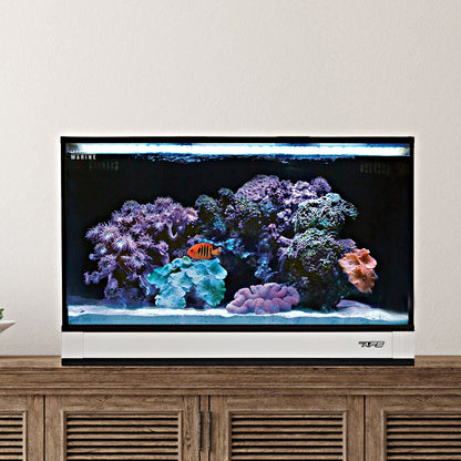 Innovative Marine NUVO Fusion Pro 2 - 20 AIO Aquarium w/ APS Pedestal - White - The Pet Source