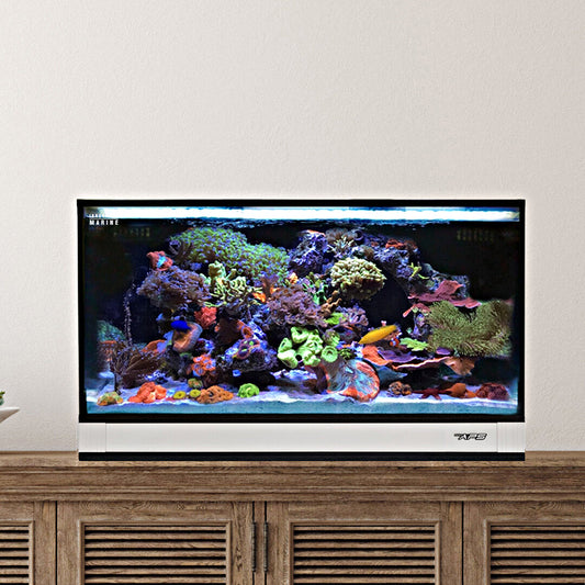 Innovative Marine NUVO Fusion Pro 2 - 25 Lagoon AIO Aquarium w/ APS Pedestal - White - The Pet Source