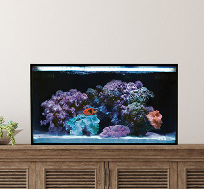 Innovative Marine NUVO Fusion - 20 Long AIO Aquarium - Desktop Starter Kit - The Pet Source