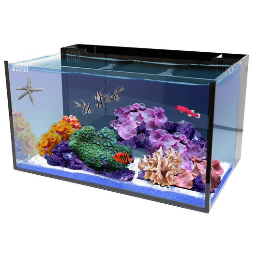 Innovative Marine NUVO Fusion - 20 Long AIO Aquarium - Desktop Starter Kit - The Pet Source