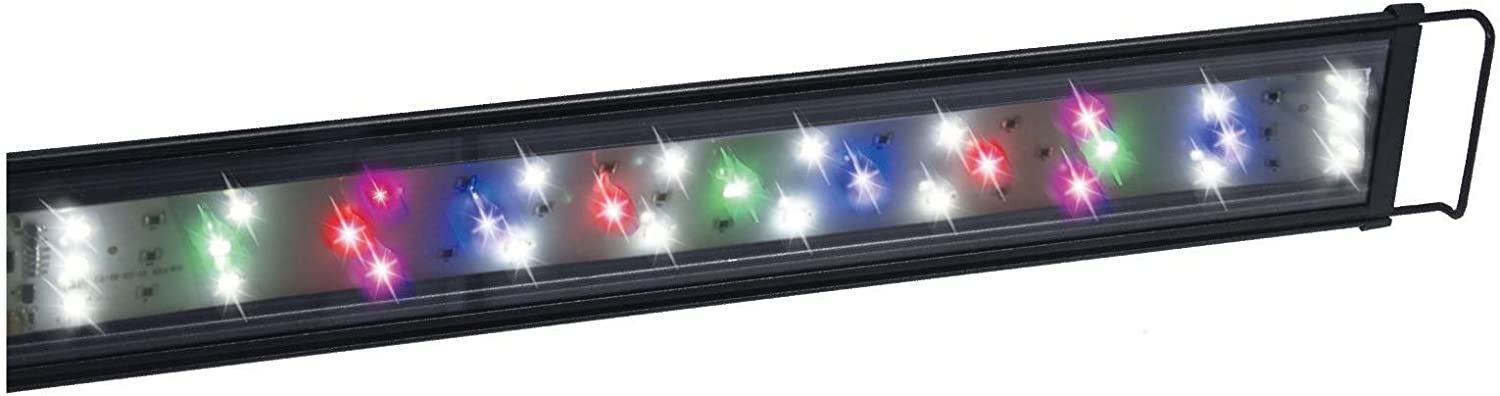 Lifegard Aquatics Full Spectrum 60" LED Light - The Pet Source