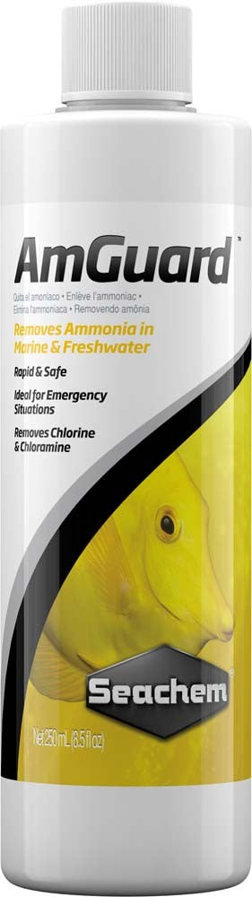 Seachem AmGuard Liquid 250ml - The Pet Source