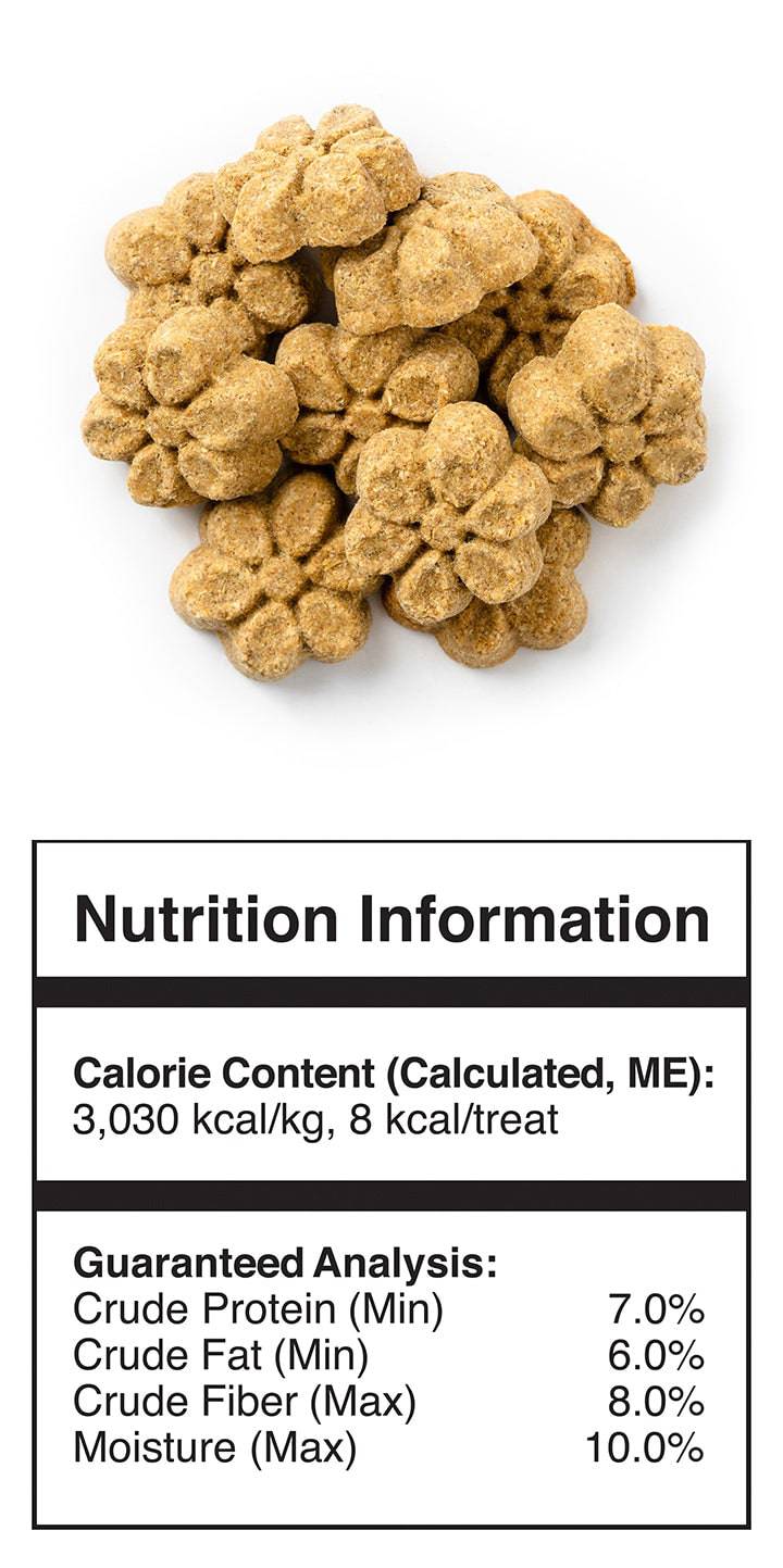 Fruitables Baked Pumpkin & Apple Dog Treats - 12 oz - The Pet Source