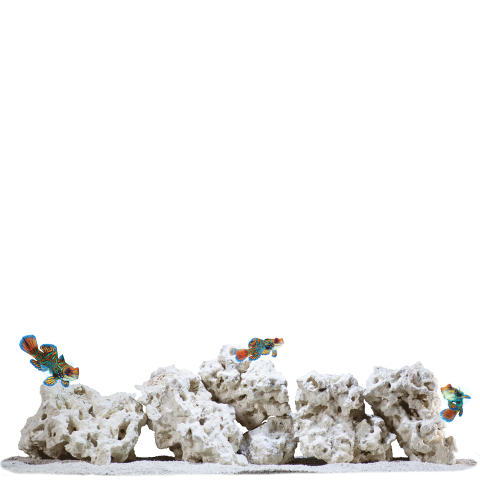 CaribSea South Seas Base Rock 40lb - The Pet Source