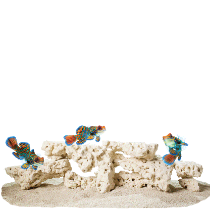 CaribSea South Seas Base Shelf Rock 40lb - The Pet Source